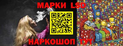 гашик Новозыбков