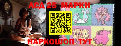 гашик Новозыбков