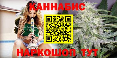 гашик Новозыбков