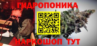 гашик Новозыбков