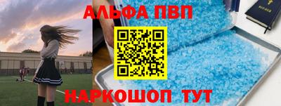 гашик Новозыбков