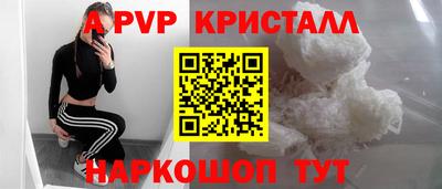 гашик Новозыбков