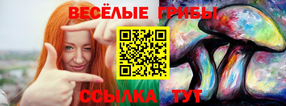 Галлюциногенные грибы ЛСД Севастополь